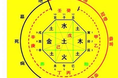 2024八字|生辰八字算命、五行喜用神查询（免费测算）